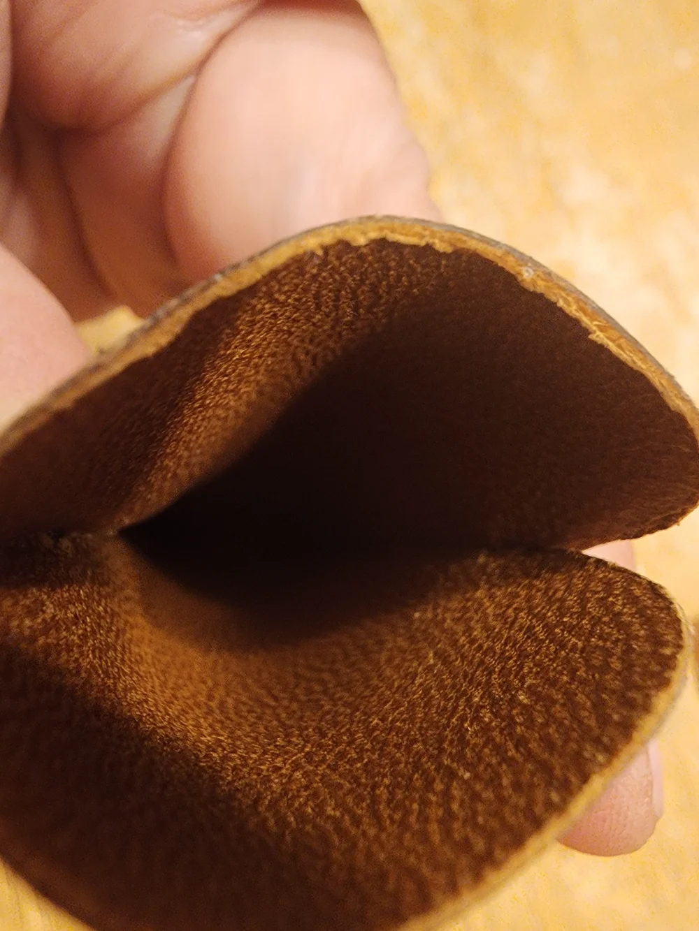 Rare VintageLouis Vuitton Tortoiseshell-Pattern Pocket Comb with Monogram Sleeve